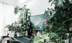 天涯论坛热议海南儋州发展，大家齐心共绘美好蓝图