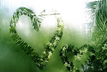 天涯社区探秘三亚的魅力